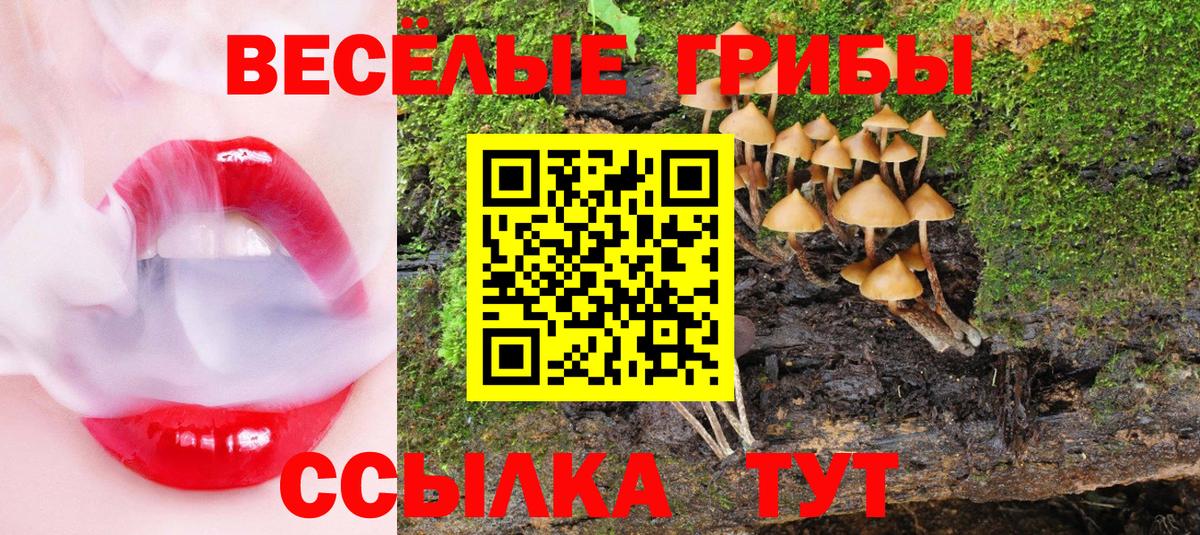 даркнет сайт  Галлюциногенные грибы мицелий  Вход с VPN  Псилоцибиновые грибы ЛСД  Семёнов 